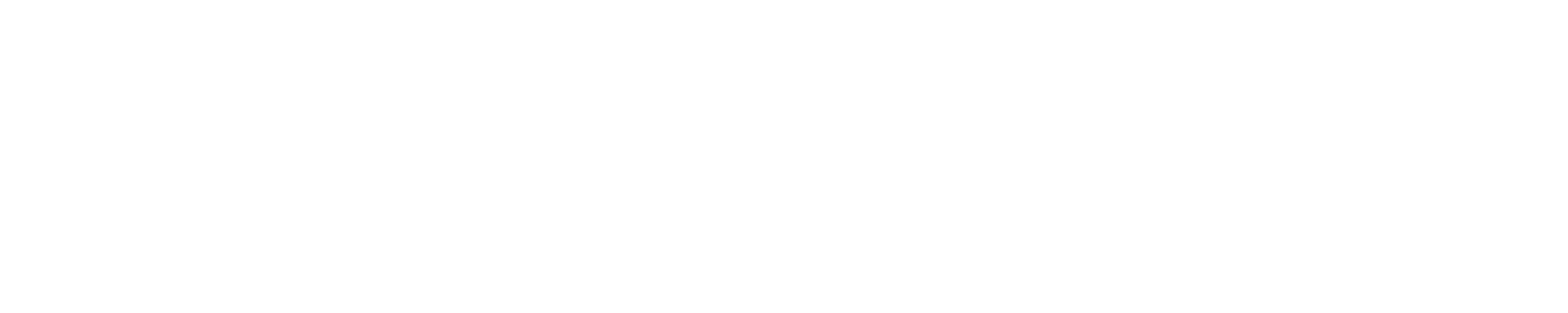 logo Groupe Holtzinger blanc
